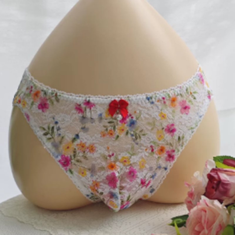 Embroidery Underwear - Culotte en dentelle transparente sexy pour