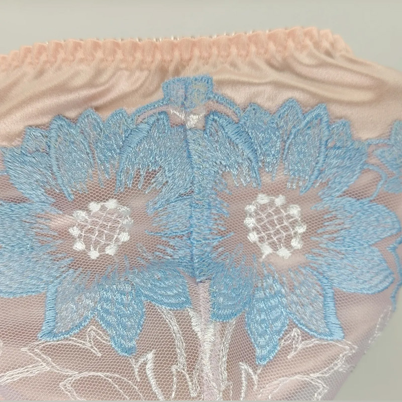 Slip rose brodé en dentelle po - Embroidery Underwear avis et prix
