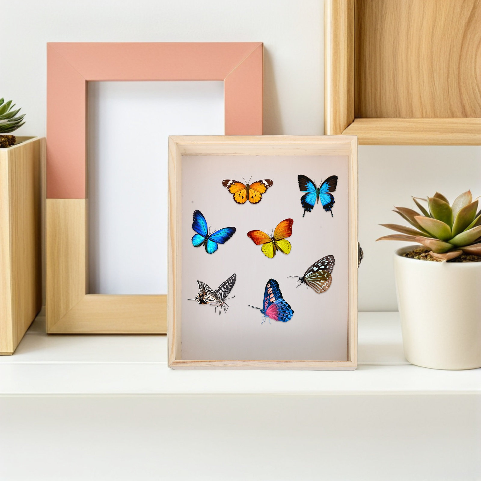 Boîte de présentation d'insect - Frame Display Wood avis et prix