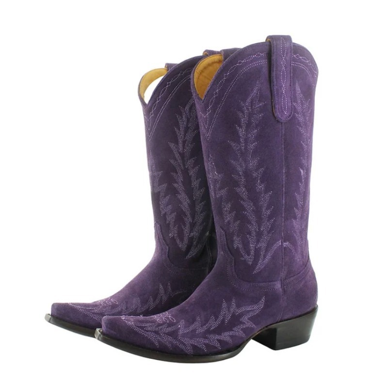 Bottes western pour femmes en  - Embroidery Designer avis et prix